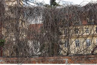 Photo Textures of Nature